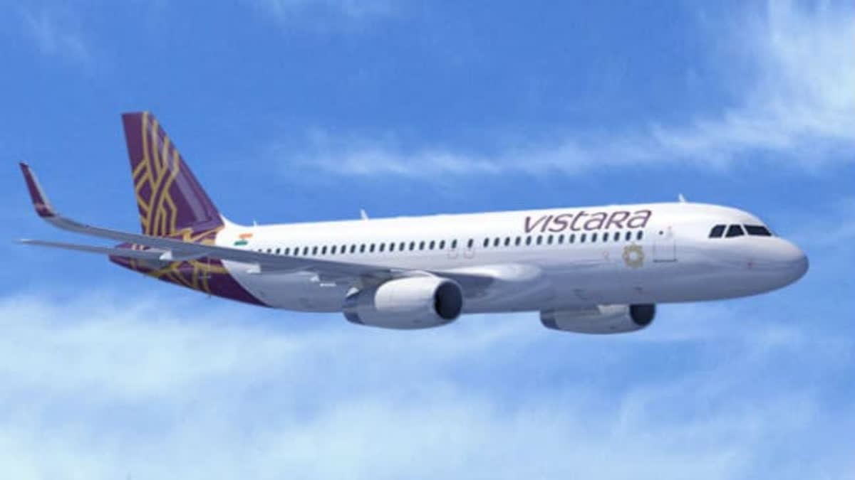 Vistara plane representational image