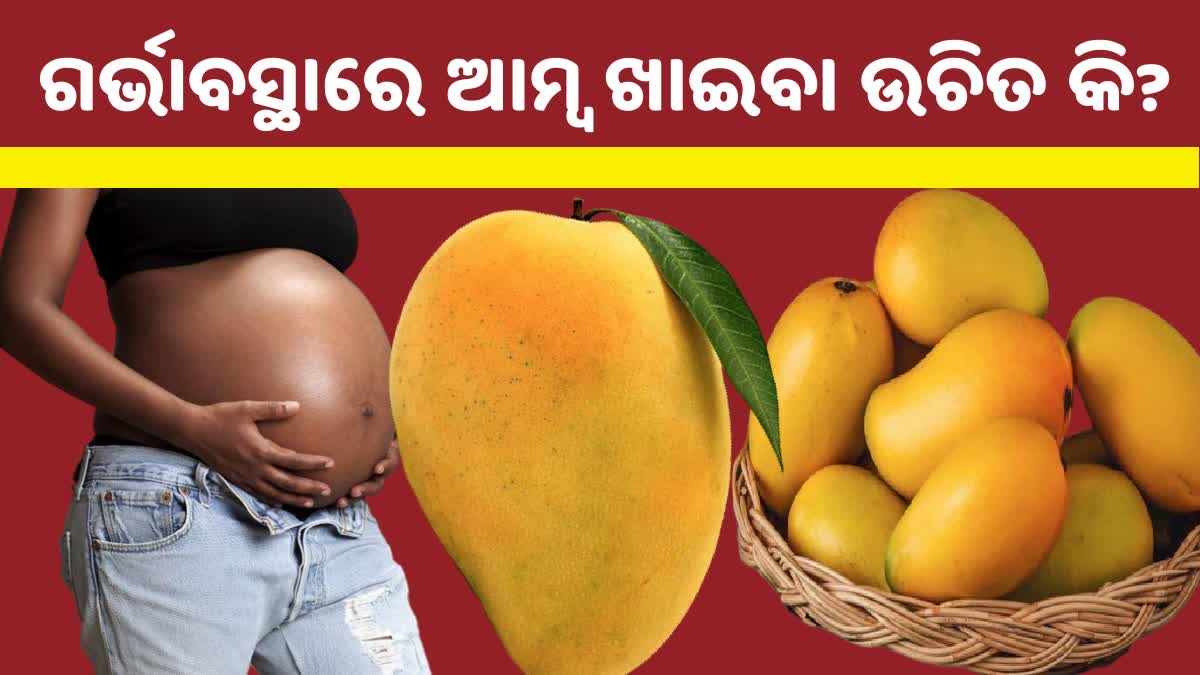 Eating Mangoes in Pregnancy ଗର୍ଭବତୀ ମହିଳାମାନେ ଆମ୍ବ ଖାଇପାରିବେ କି ? କଣ