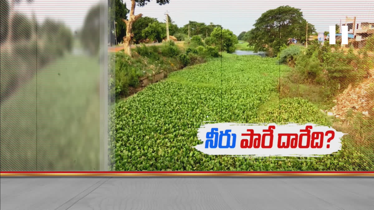 Godavari Delta Irrigation Canals