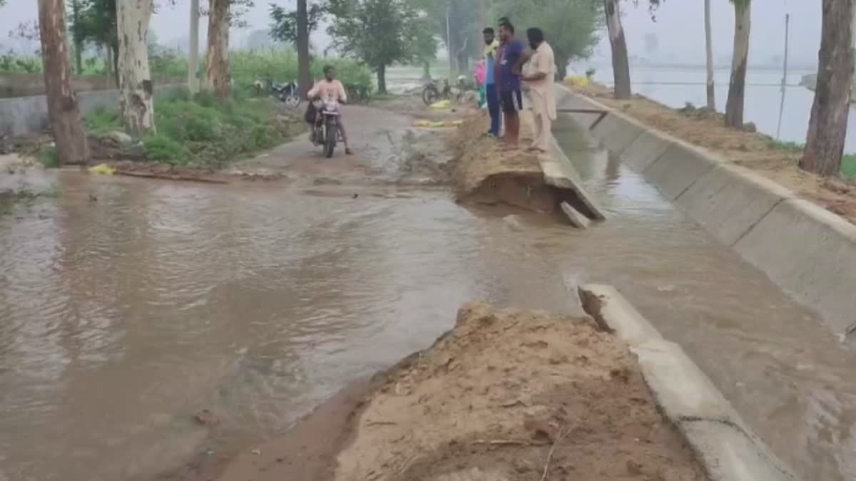 In Ludhiana's Mahduda, farmers' crops were destroyed due to inundation