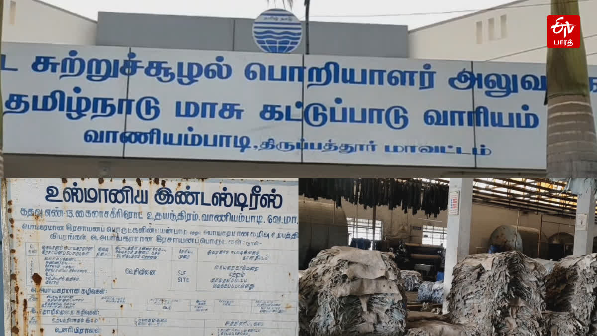 Vaniyambadi leather factory