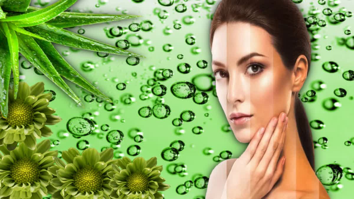 Aloe Vera For Skin Tanning News