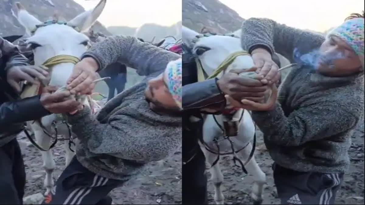 Hours_smoking_in_kedarnath