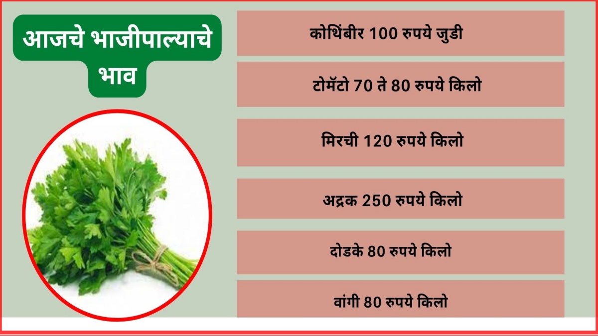 Vegetable Rate In Nashik