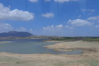 Bhavnagar Water Problem : જિલ્લાના 12માંથી 4 ડેમ ખાલી