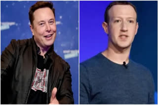 Musk-Zuckerberg cage fight 'cancelled', says Tesla CEO's mother
