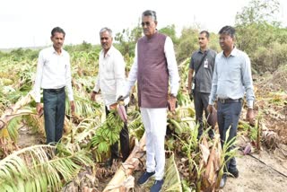 agriculture-minister-raghavji-patel-visits-the-affected-area-of-biparjoy-vavajhoda-assures-proper-compensation