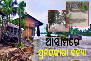 Assam flood update