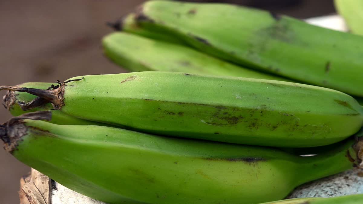 Raw Banana Diet