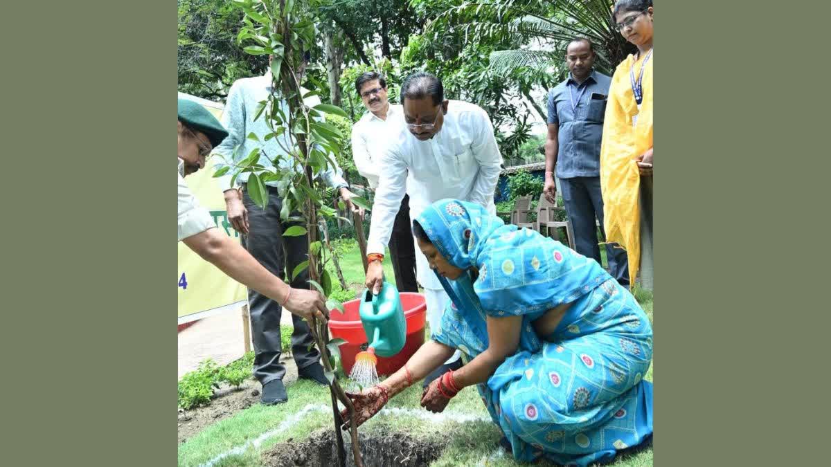 Bastar Tree plantation campaign