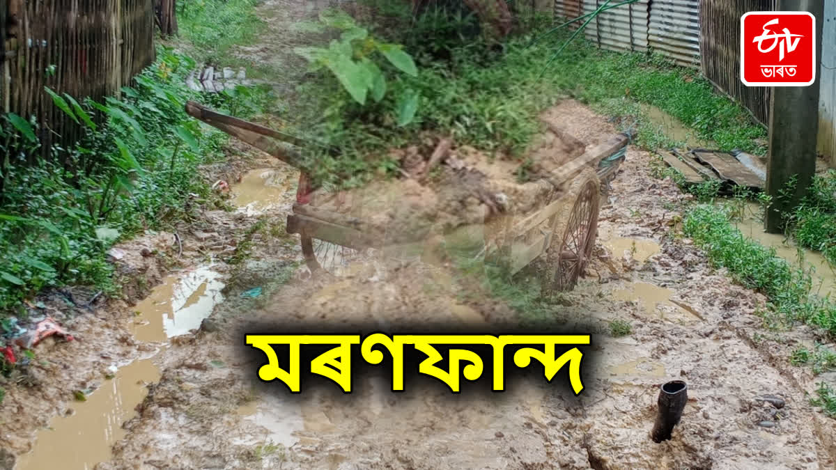 Dilapidated road in Golaghat