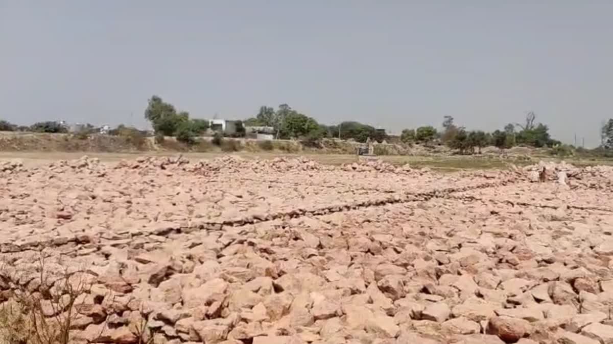 MONSOON IN HARYANA