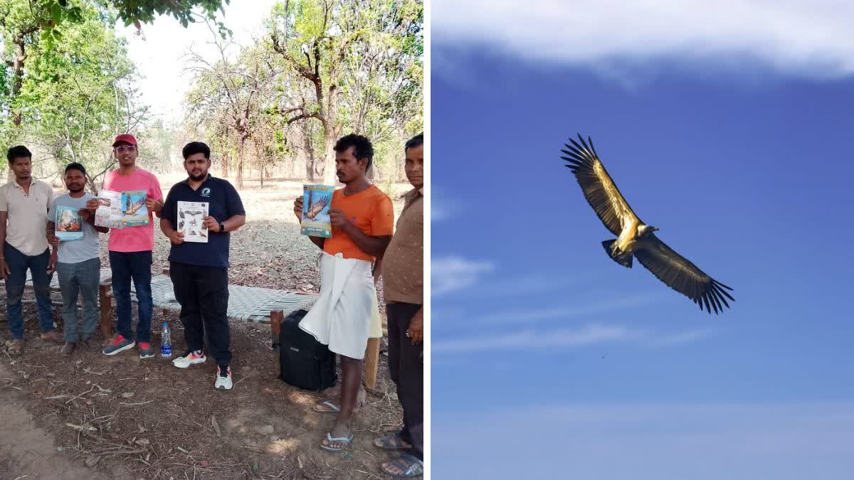 Conservation of vultures in Korba