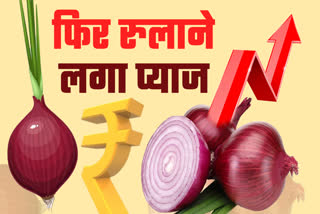 ONION PRICES HIKE