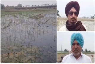 Haryana farmers reaction on msp