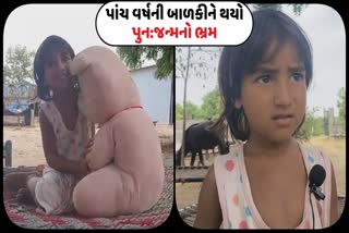 પાલનપુરના ખસા ગામે પાંચ વર્ષની બાળકી કડકડાટ હિન્દીમાં વાતો કરે છે.