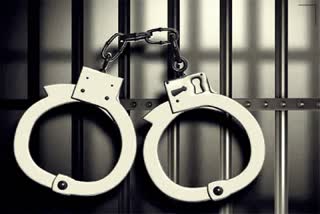 Cell Phone Theft Masood Gang Arrested