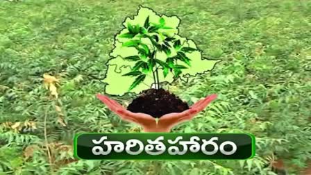 HARITHA HARAM SCHEME IN TELANGANA