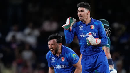 Afghanistan vs Australia: Afghanistan secure historic win against Australia in T20 World Cup