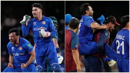 afghanistan players Celebration