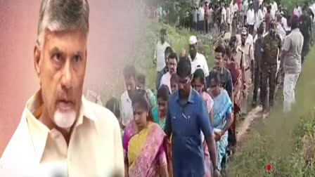 CM_Chandrababu_Serious_Towards_Crime_Against_Women