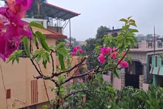 Uttarakhand Weather