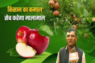 JAUNSAR BAWAR APPLE FARMING