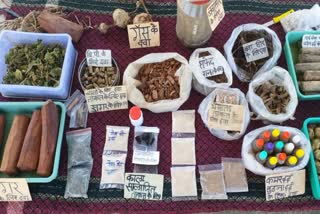 PATALKOT HERBS TECHNIQUE IN GERMANY