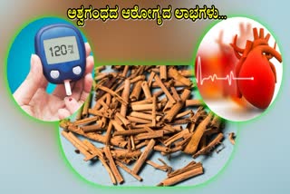 ASHWAGANDHA HEALTH BENEFITS  BENEFITS OF ASHWAGANDHA  HEALTH BENEFITS OF ASHWAGANDHA  ಅಶ್ವಗಂಧದ ಆರೋಗ್ಯದ ಲಾಭಗಳು