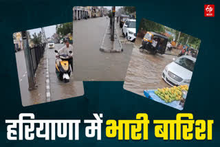 Heavy Rainfall in Haryana Hisar Nuh Bhiwani Watch Video Haryana Weather Update IMD