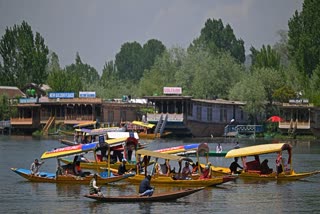 kashmir