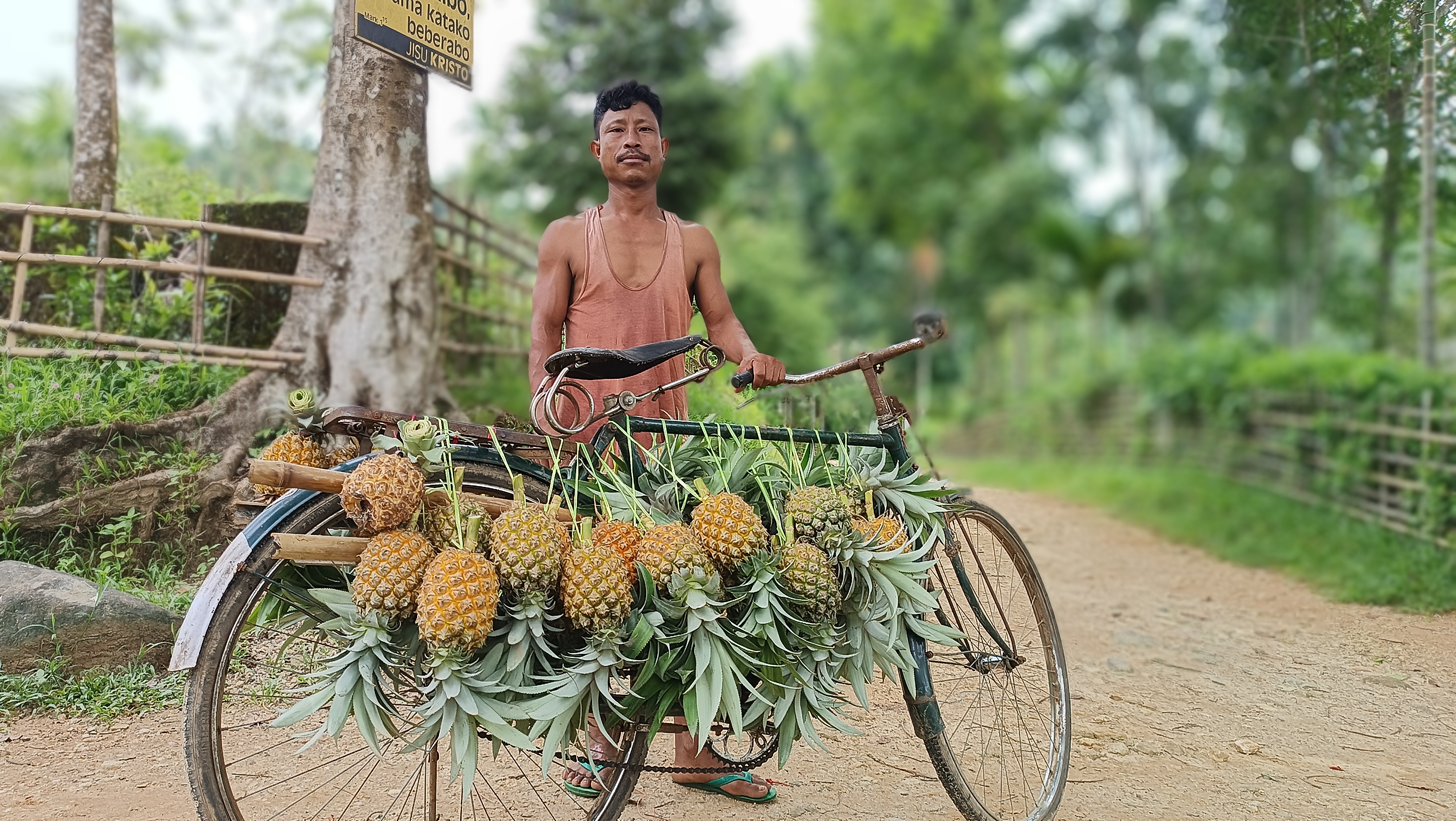 Self Reliant through Pineapple CULTIVATION IN Bongaigaon