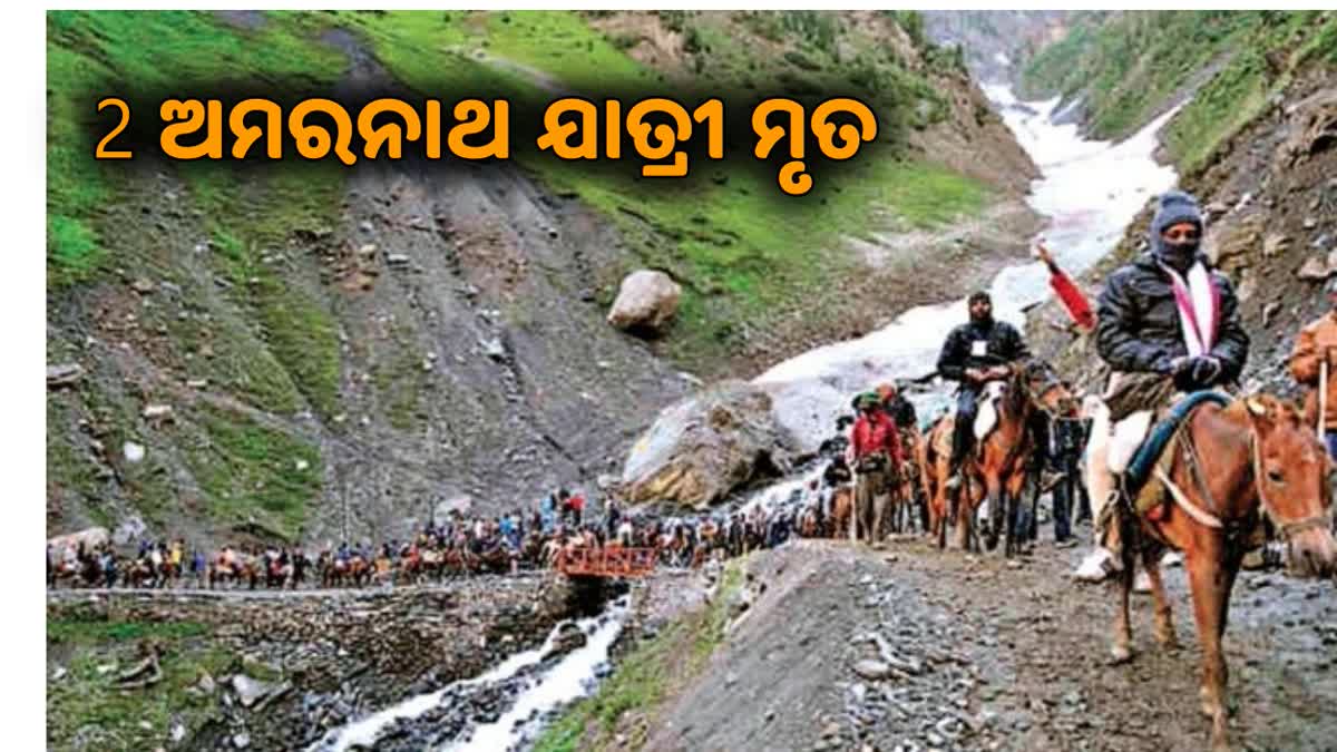 Amarnath Yatra: ଆଖି ବୁଜିଲେ ଆଉ 2 ଶ୍ରଦ୍ଧାଳୁ, ମୃତ୍ୟୁ ସଂଖ୍ୟା 36କୁ ବୃଦ୍ଧି