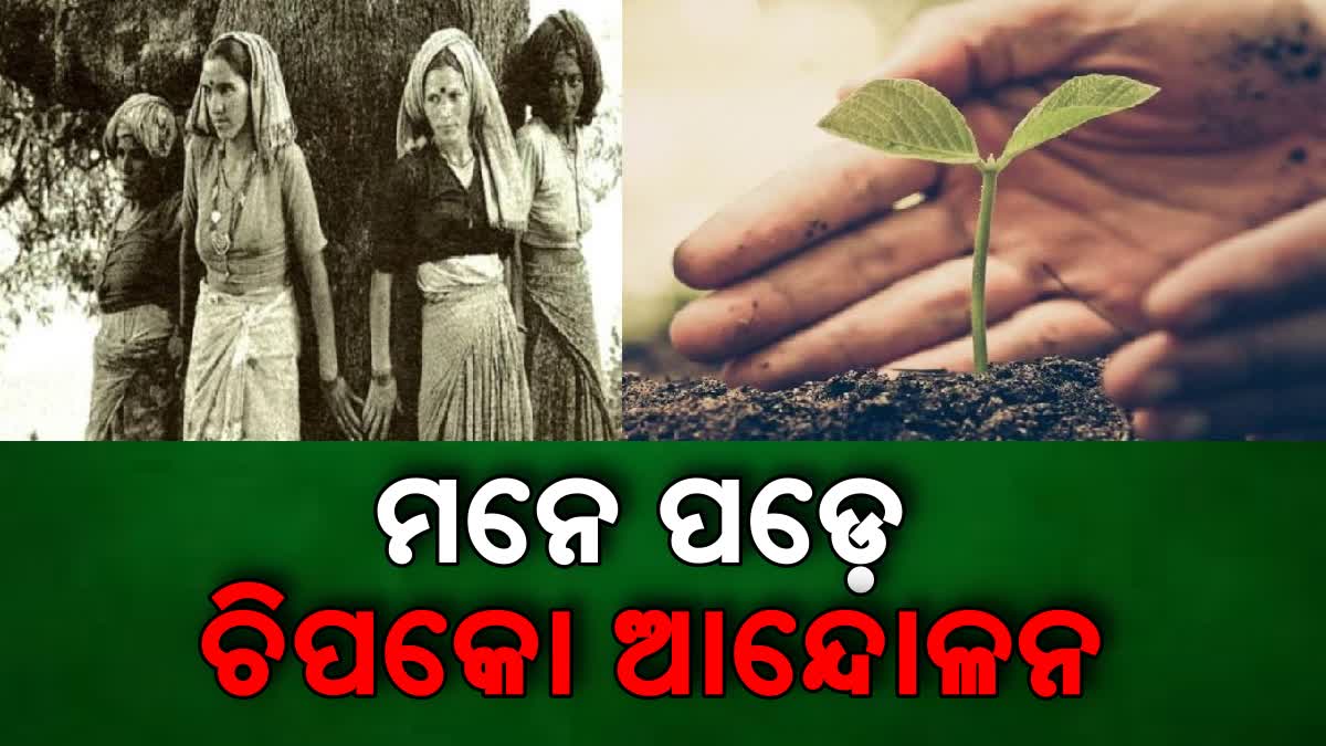 50 Years of Chipko Movement