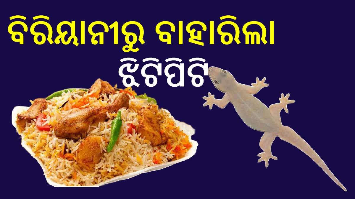 lizard in biryani served on a hotel in puri