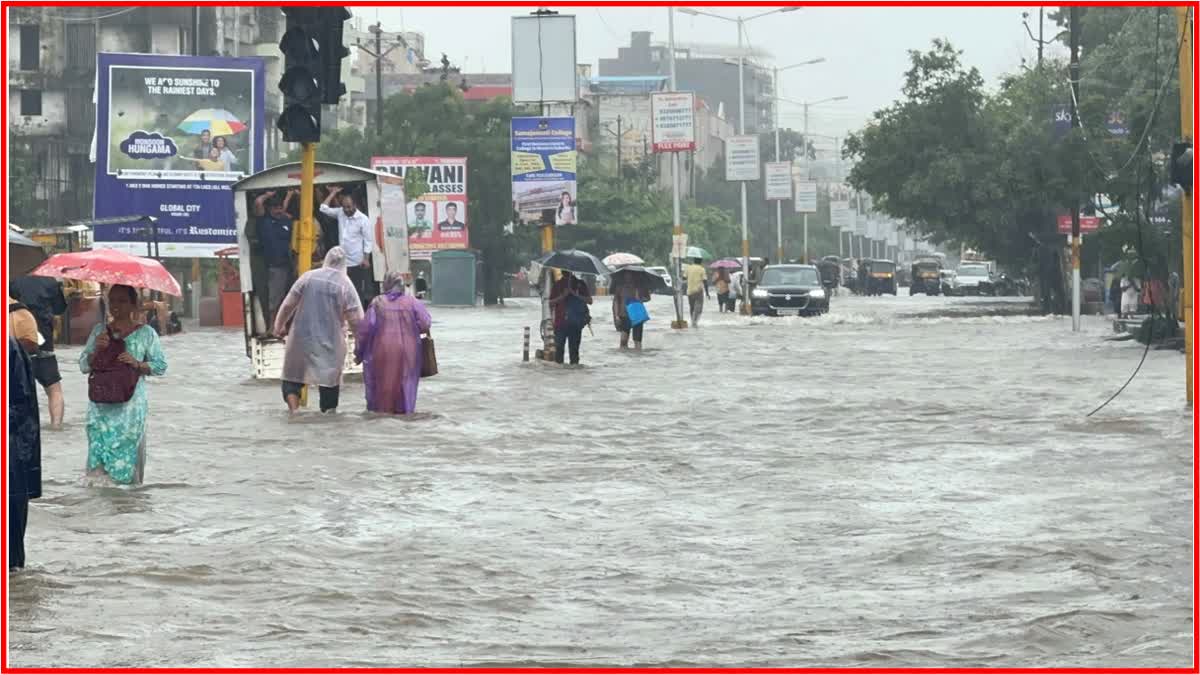 Maharashtra Rain News