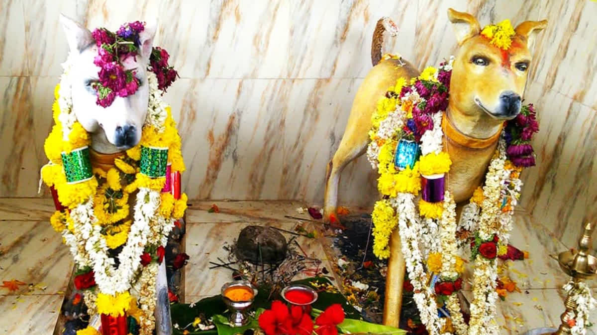 Dog temple in Karnataka