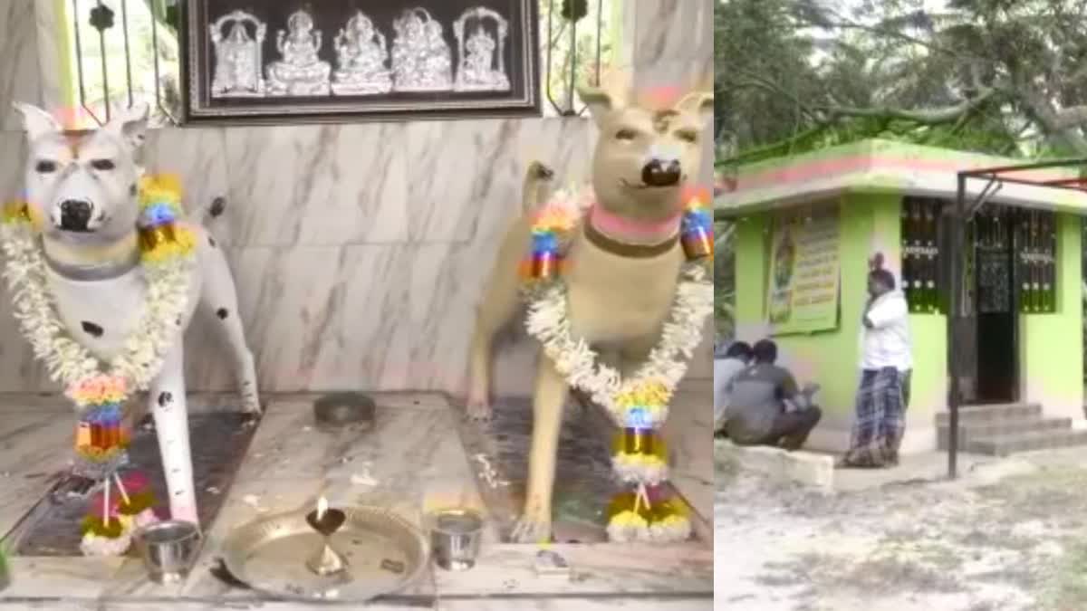 Dog Temple Karnataka