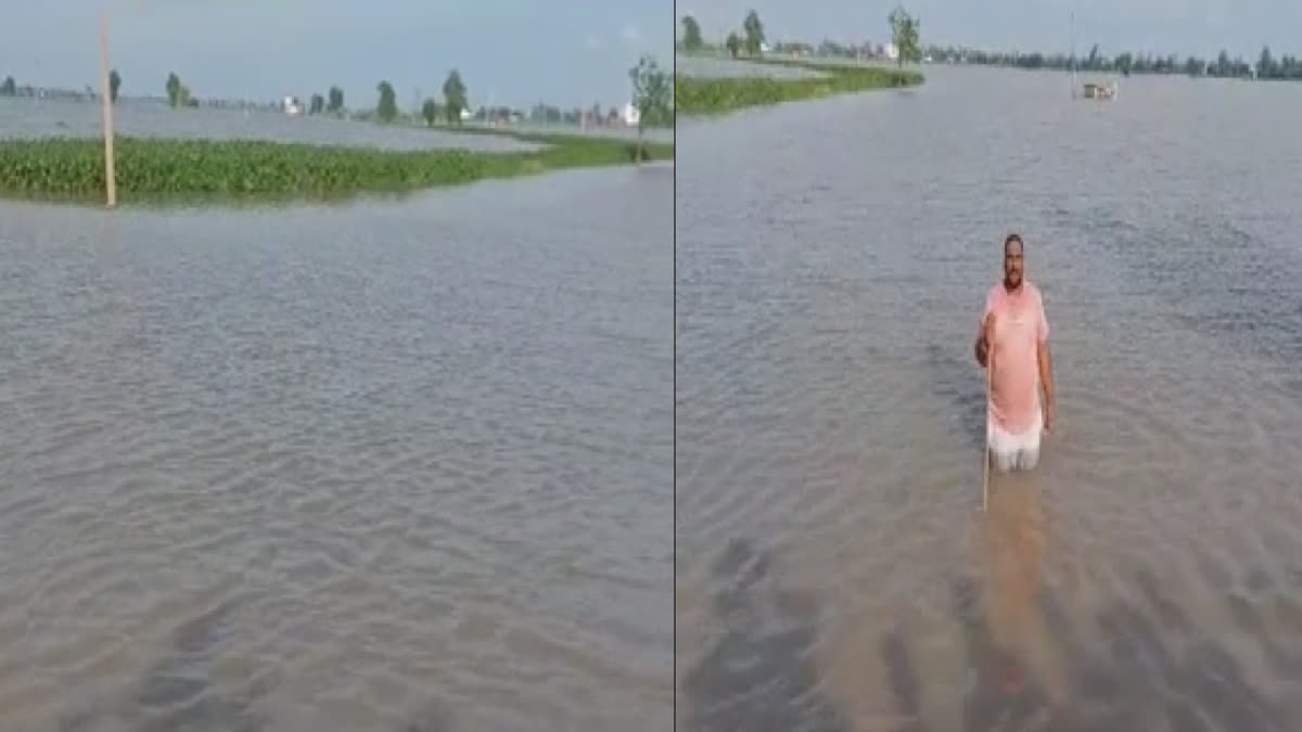 Due to heavy rain, flood-like conditions occurred in many villages of Ajnala region