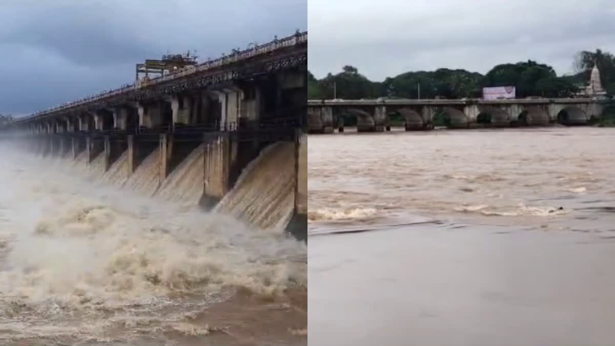 linganamakki-gets-three-and-a-half-feet-of-rain-water-in-a-single-day-in-shimoga