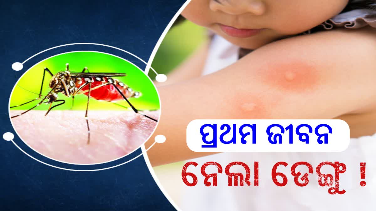 first Dengue death