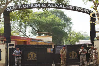 Neemuch Opium Alkaloid Factory