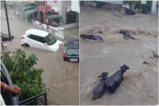 Heavy rains in Gujarat