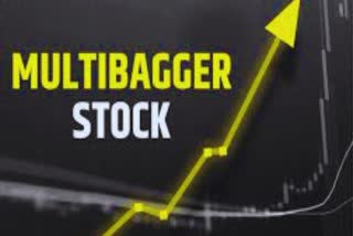 Multibagger Stock