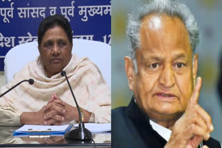 File photos: Mayawati and Ashok Gehlot