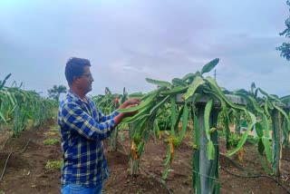 Farmer Mahendra
