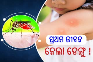 first Dengue death