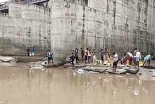 Fish Hunting at Parvati Barrage