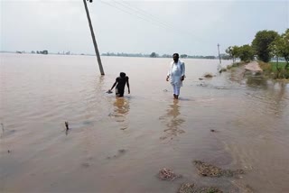 haryana floods latest news