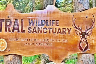 The Department of Wildlife Protection in south Kashmir's Pulwama has restarted its ambitious project of ex-situ breeding and conservation of Hangul or Kashmiri Stag, a critically endangered species, by reopening Jammu and Kashmir’s lone breeding centre after over a decade